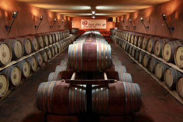 The barrel cellar at Bazelet HaGolan Winery in Moshav Kidmat Zvi. The winery was established in 1998 and produces some 80,000 bottles of wine annually from 100 dunam (25 acres) of vineyards, all in the rich basalt soil of the volcanic Golan Heights.