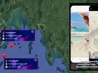 На Пхукете выпущено новое предупреждение о ядовитых медузах у острова Рача-Яй