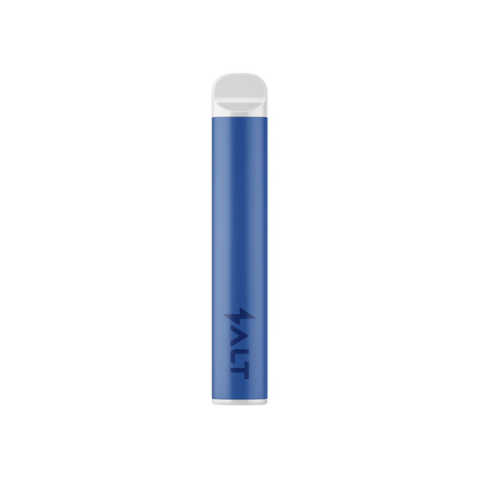 SALT SWITCH ZERO | Blueberry Raspberry 600 puff Disposable Vape