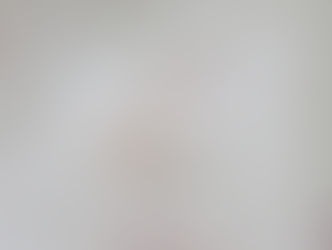 Phuket Issues Urgent Warning Over Venomous Jellyfish Surge