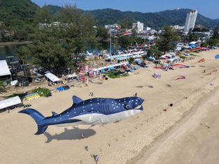 Phuket Kite Festival Takes Over Karon Beach with Colorful Skies and Live Music