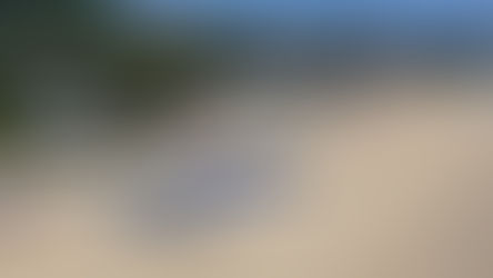 Фестиваль воздушных змеев на Пхукете наполнил небо красками и музыкой