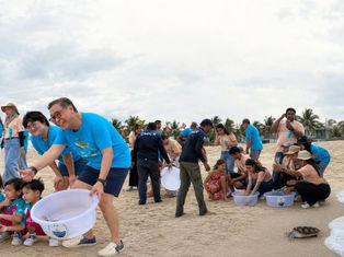 Young Sea Turtles and Bamboo Sharks Released into Phuket Waters