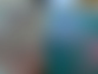 Toxic Jellyfish Alert Issued in Phuket as Authorities Urge Caution