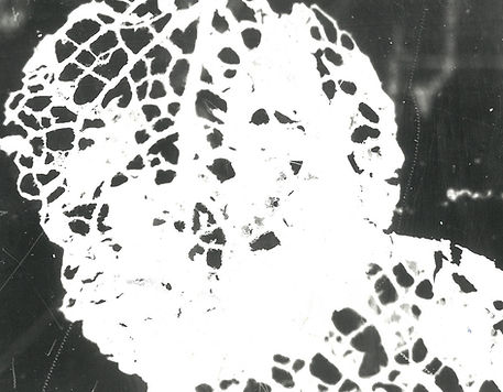 Enlargement 19.jpg
