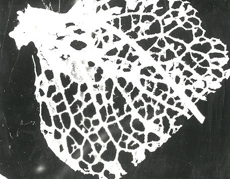 Enlargement 18.jpg