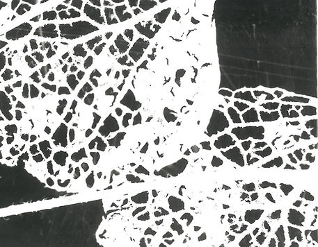 Enlargement 14.jpg