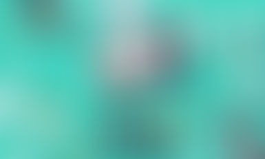 The Art of Being Diabetic 