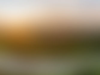 How College Has Changed Me