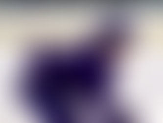 WOLVES NCDC LOOK TO BOUNCE BACK: TWO-GAME ROAD GRIND AHEAD