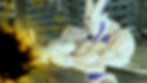 ree