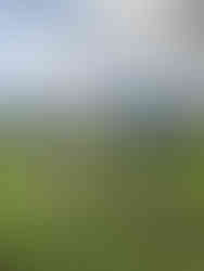 濟州婚紗攝影師