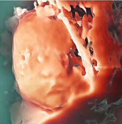 2023-01-14 10.53_edited.jpg