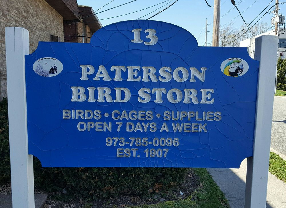 Paterson Bird Store History And Legacy Of Avian Companionship paterson-bird-store-history-and-legacy-of-avian-companionship