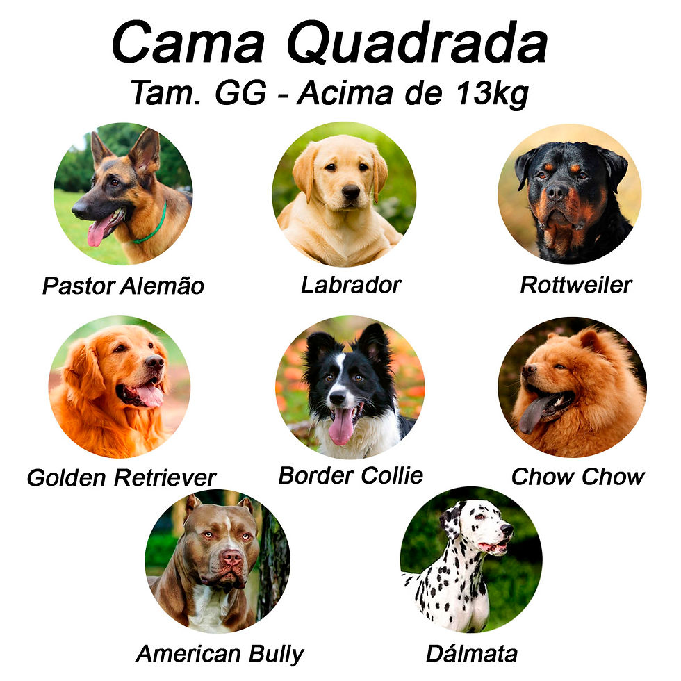 Miniatura: Cama para Cachorro Quadrada Impermeavel Luppet Rosa Cachorrinho b2w (LP80160-07)