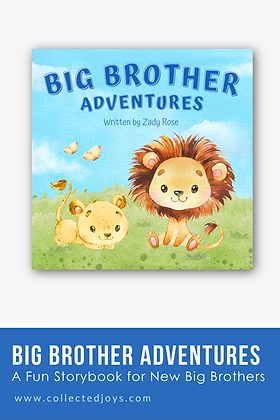 Big Brother Adventures by Zady Rose