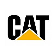 cat2