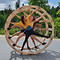 20250515_120711_edited.jpg