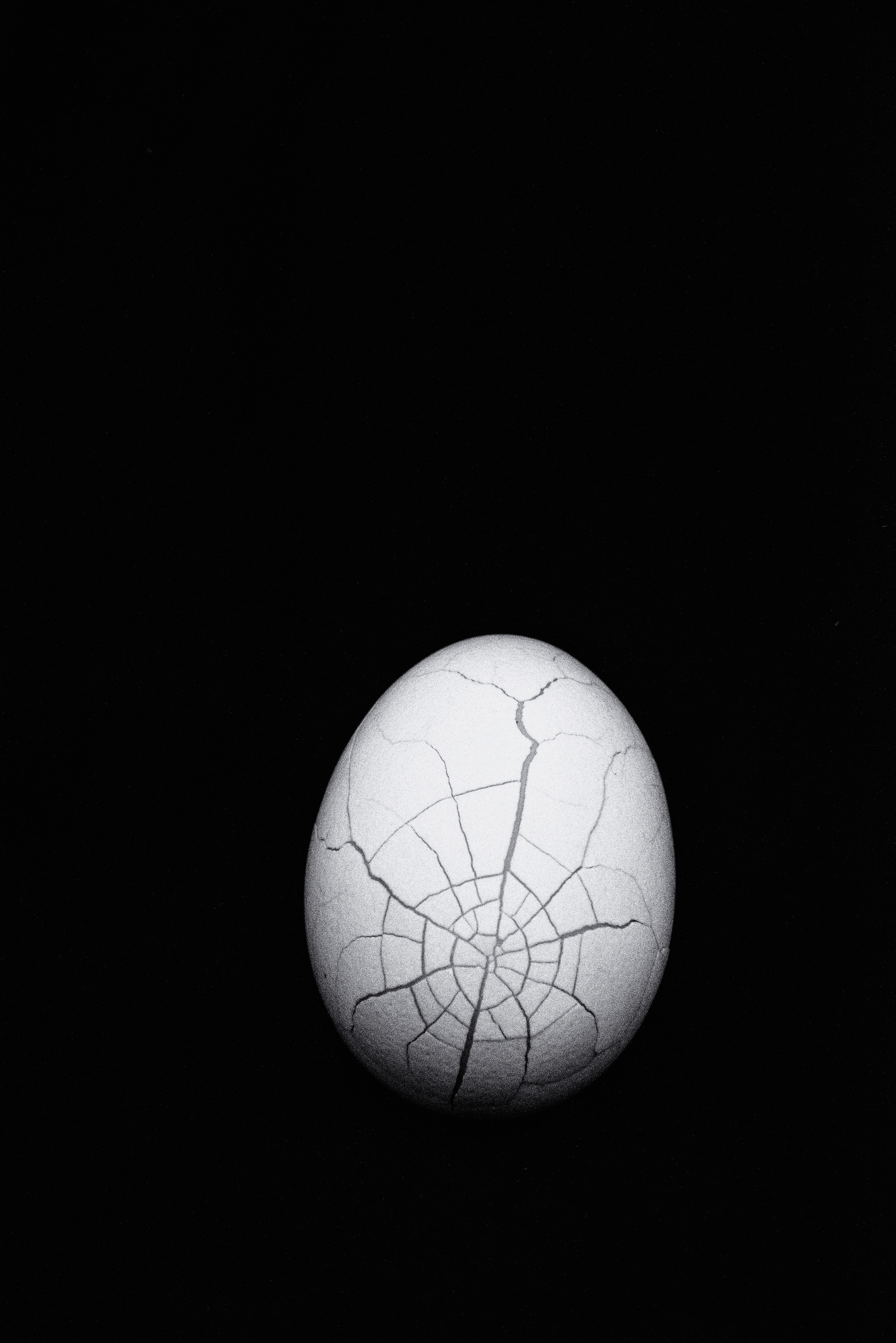 Cracked Egg 1