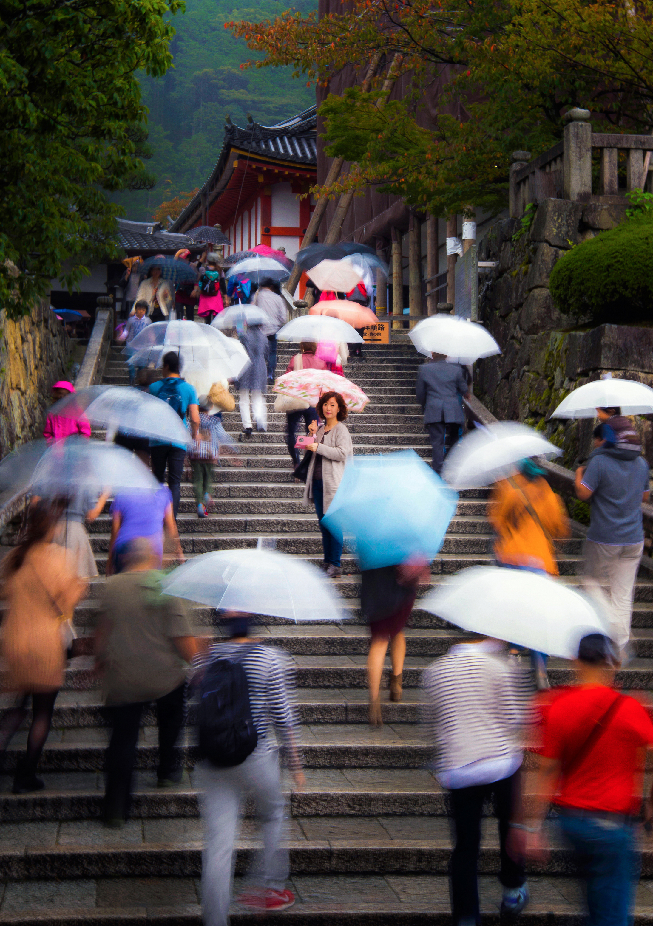 One Who Is Still-Kyoto Japan