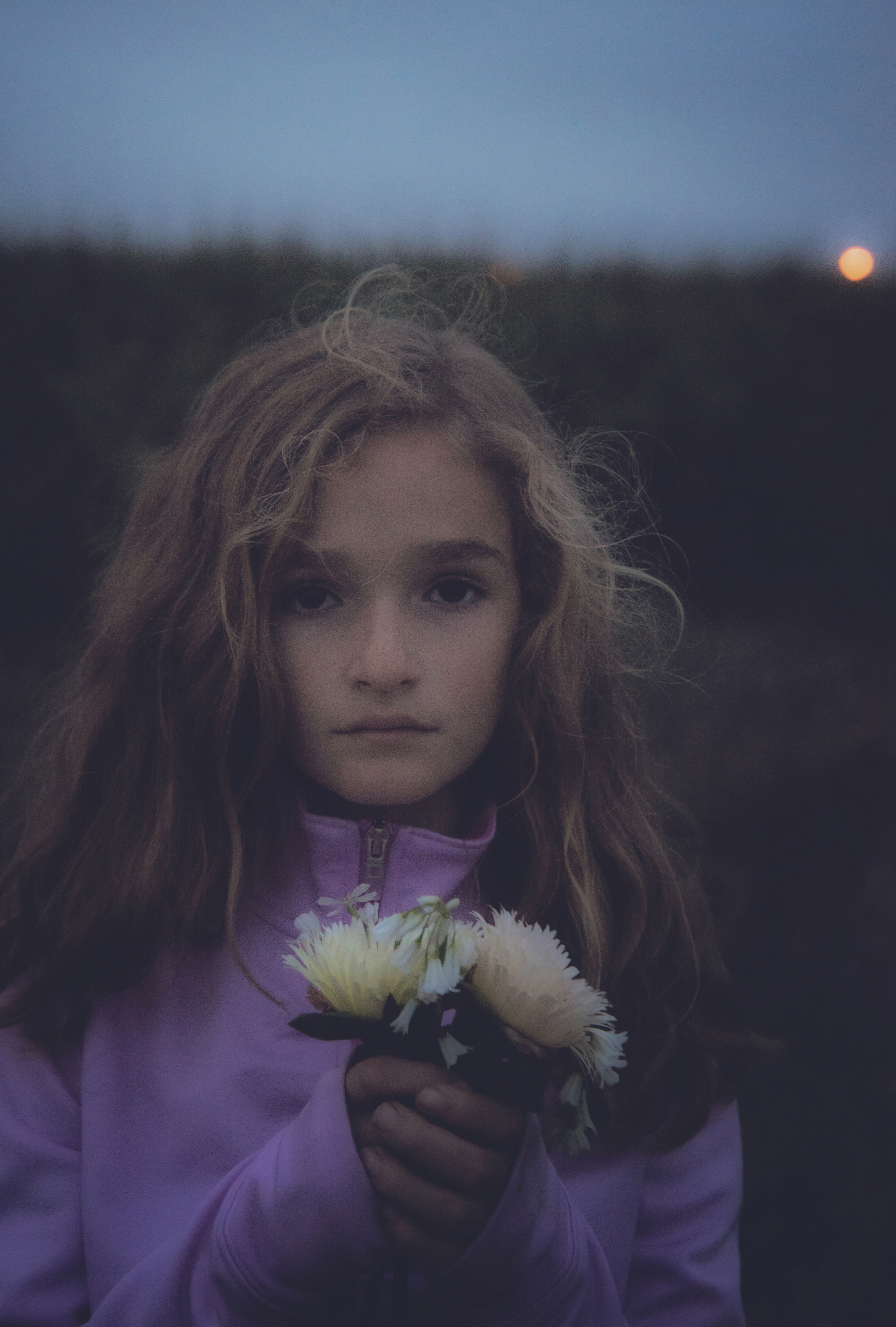 Gathering Flowers at Dusk