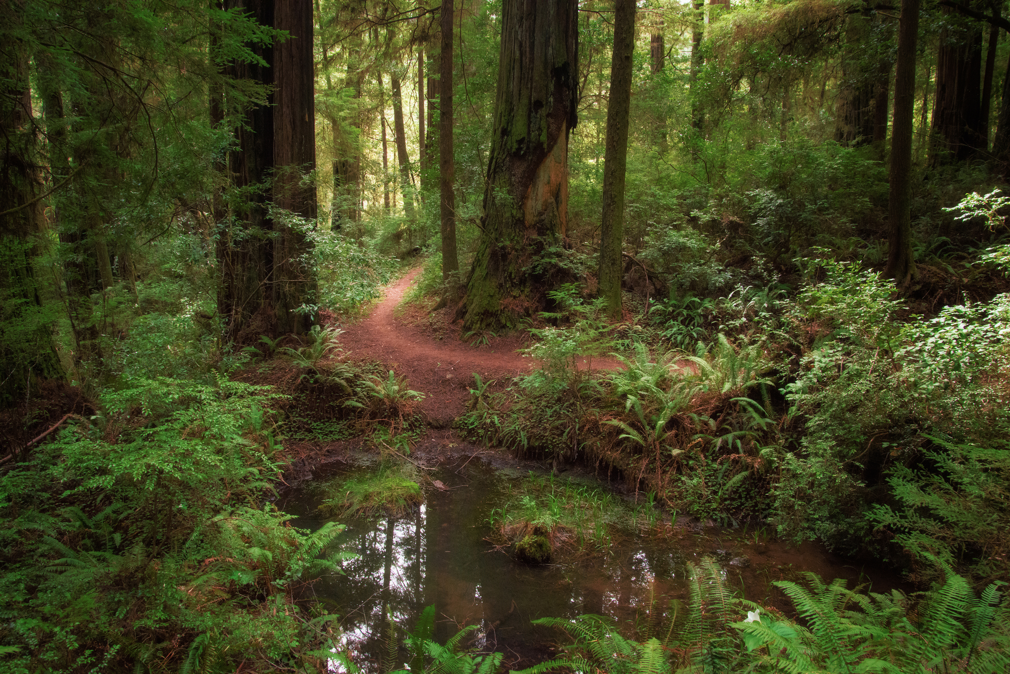 Along a Meandering Trail