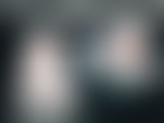 Two beluga whales rescued from Ukrainian aquarium evacuated to Spain