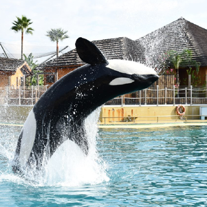 Stop denigration: Zoos have never been so critical for science and species conservation!