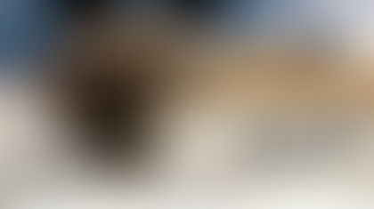 Freya the Walruse – Norway