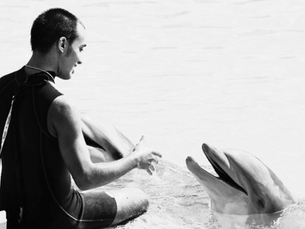 1976 - Marineland Mallorca