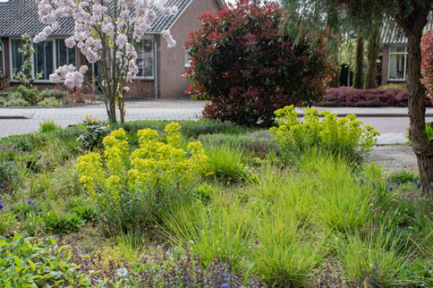 Droogte bestendige tuin in Bennekom, gemeente Ede, Gelderland