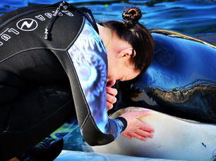 A letter for the animal caretakers of Marineland