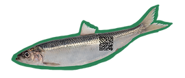 Silakka_tarra.png