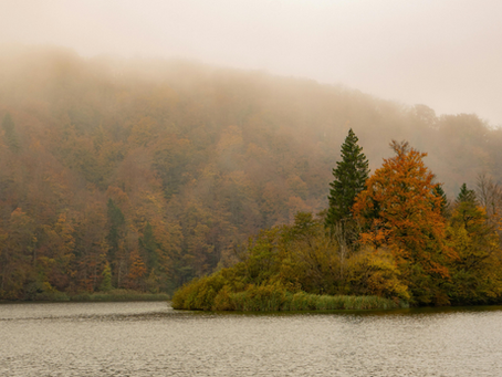 Foggy autumn lake with a small tree-covered island in orange, gold, and green, backed by misty forested hills.