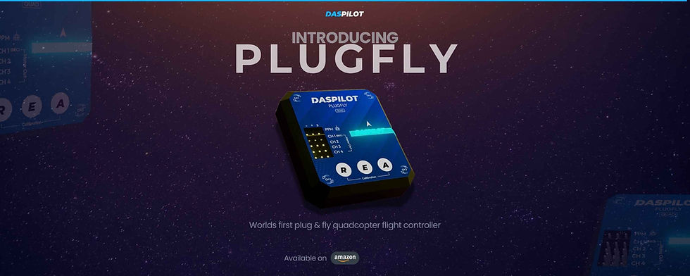 PLUGFLY.jpg