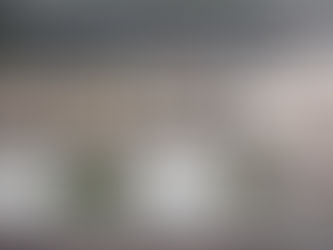 Building a Beautiful and Sustainable Rooftop Garden with Rooftop Planters