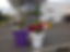 Thumbnail: Extravase polyethylene resin planter