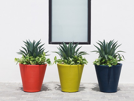 Madison URBAN POT (1).jpg