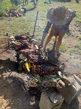 IMG_0412.jpeg