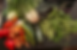 panier_septembre.png