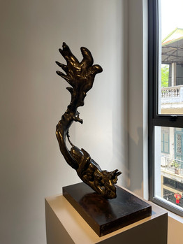 Happy Dragon | Rồng Vui