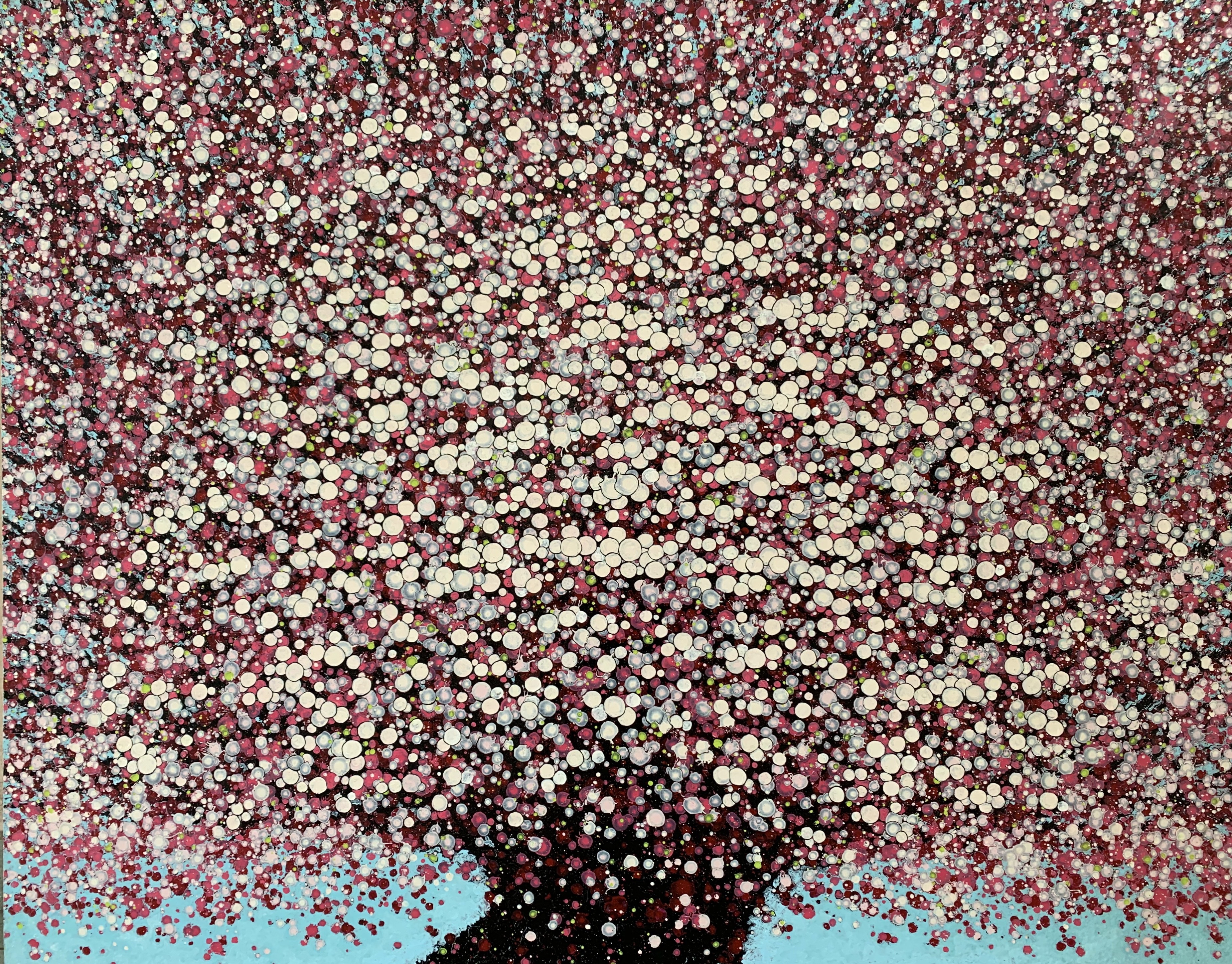 Cherry Blossoms | Hoa Đào