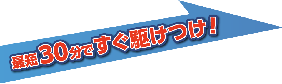 30分駆けつけ.png