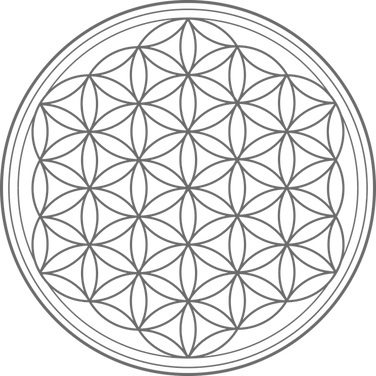 flower-of-life-2648527_640_edited.png