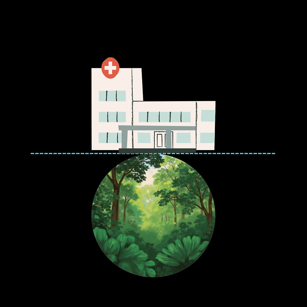 Illustrazione ospedale e bosco verde: esame Forest Bathing e ricovero, il mio percorso tra cura e natura