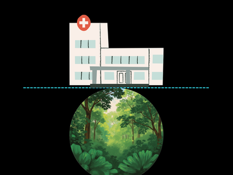 Illustrazione ospedale e bosco verde: esame Forest Bathing e ricovero, il mio percorso tra cura e natura