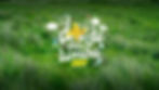 Migfest 2026 Web Image 2.jpg