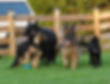 Messenger_creation_1f25dbc2-7689-401c-a90d-fa1eb7ad662d.jpeg
