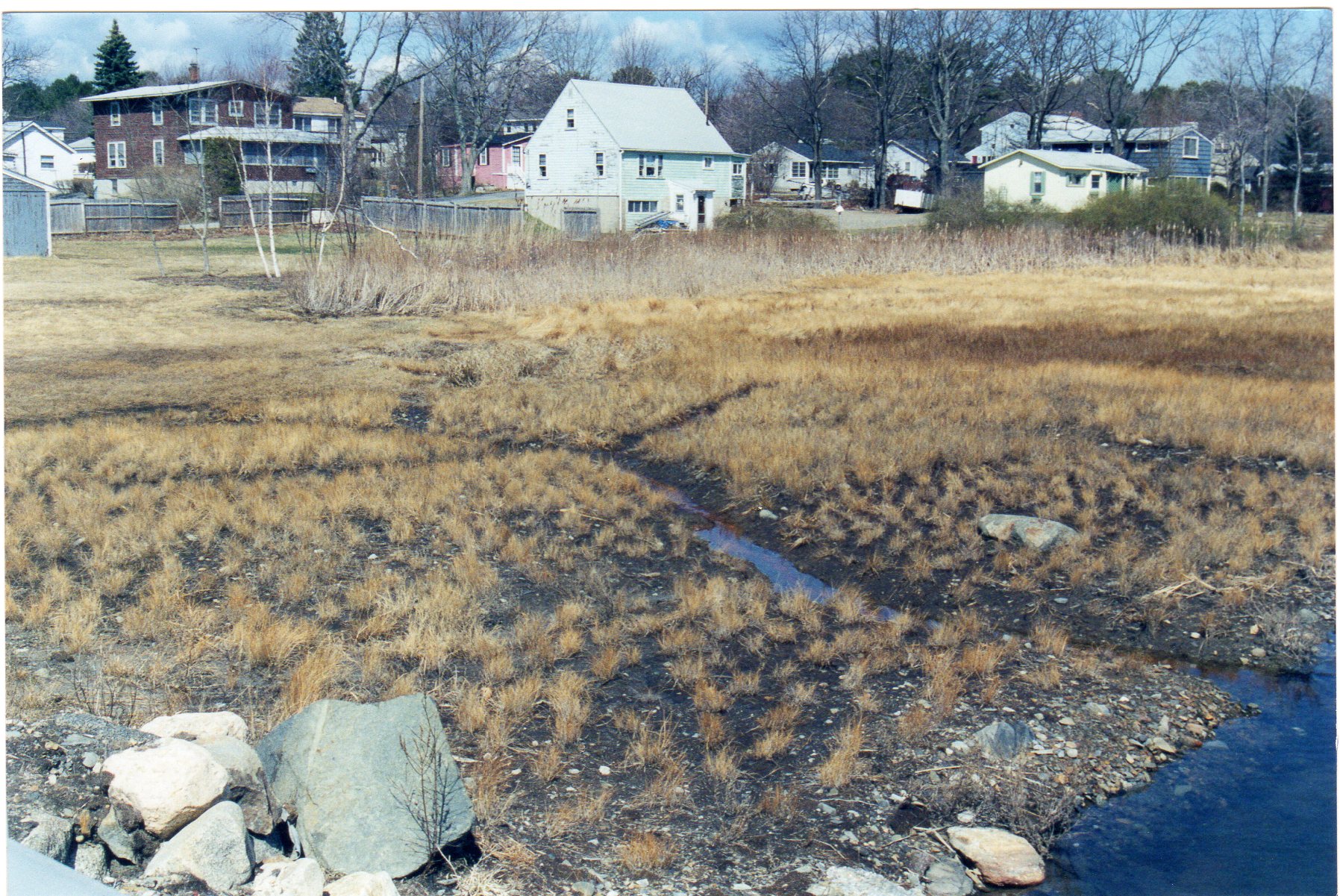 Wallace Road Salt Marsh Restoration