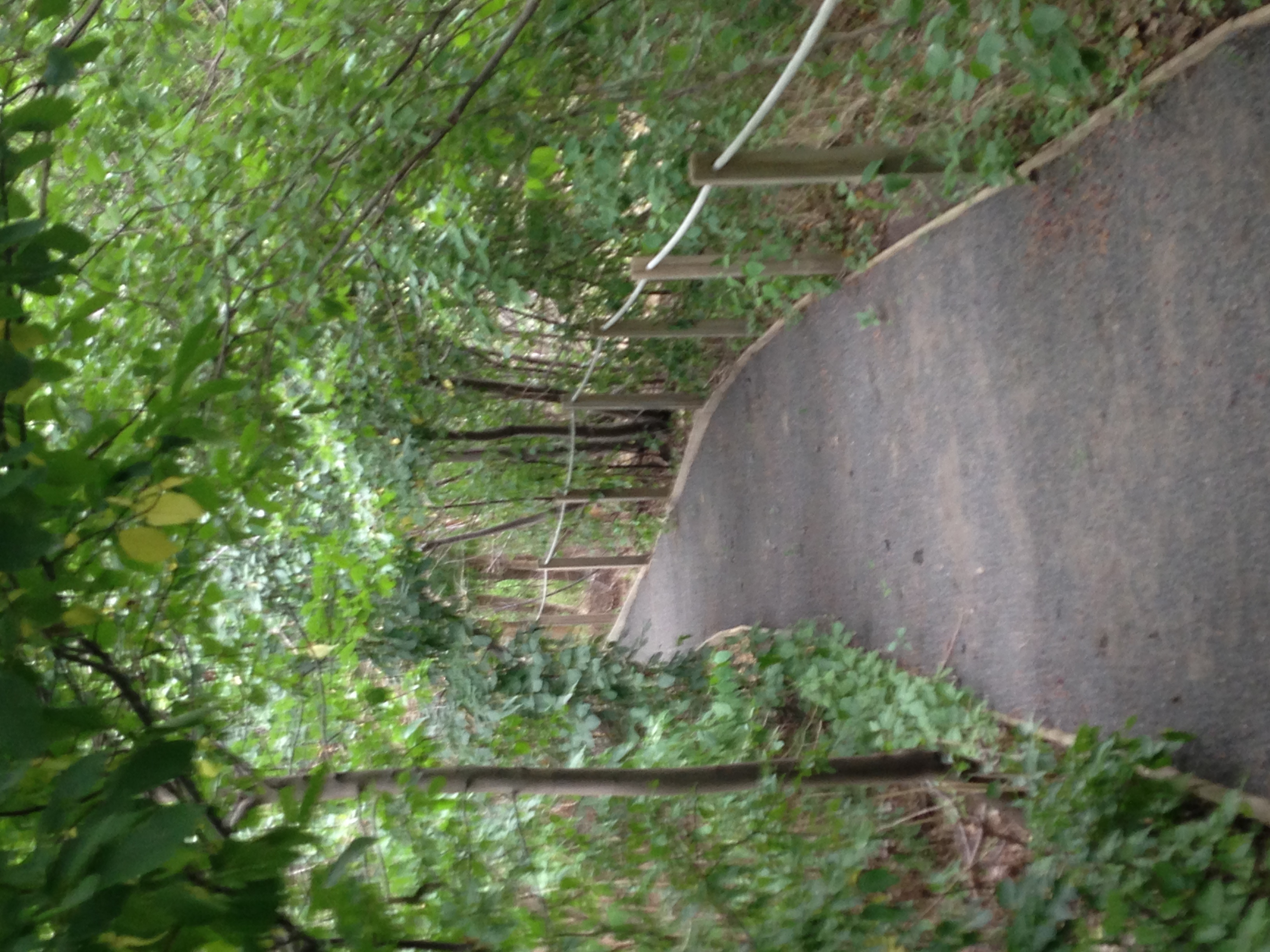 Bear Creek Wildlife Sanctuary mysite